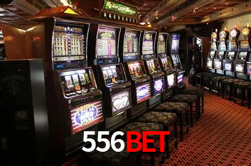 Interface Premium 556bet